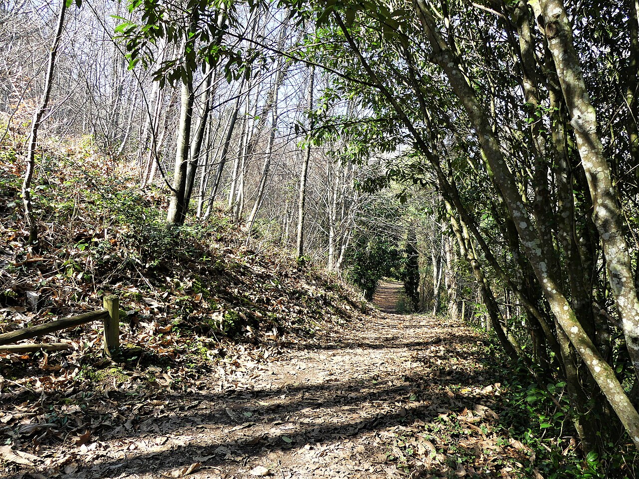 L'arboretum de la Fot.